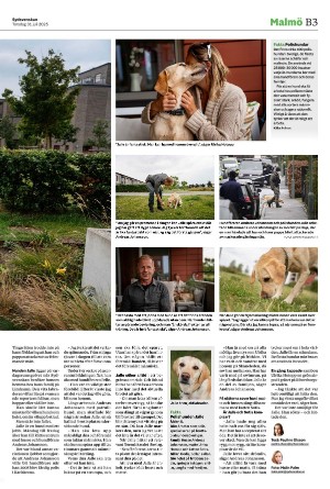 sydsvenskadagbladet_malmo_b-20250731_000_00_00_003.pdf