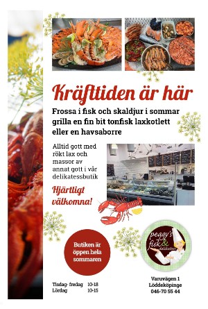 sydsvenskadagbladet_malmo_b-20250809_000_00_00_011.pdf