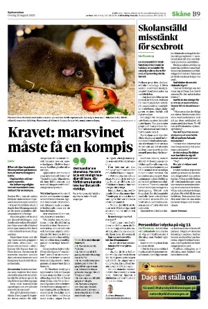 sydsvenskadagbladet_malmo_b-20250820_000_00_00_009.pdf