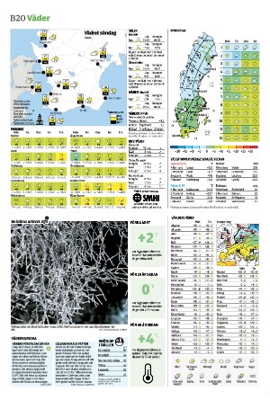 sydsvenskadagbladet_malmo_b-20260301_000_00_00_020.pdf