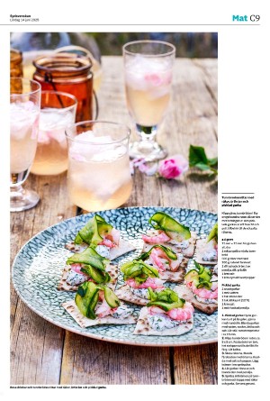 sydsvenskadagbladet_malmo_c-20250614_000_00_00_009.pdf