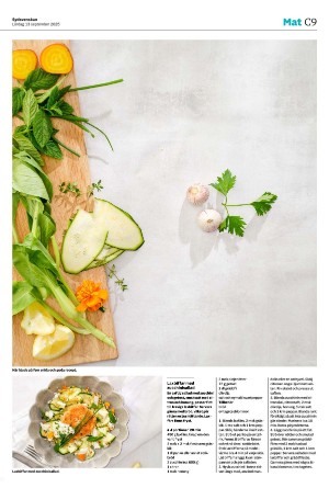 sydsvenskadagbladet_malmo_c-20250913_000_00_00_009.pdf