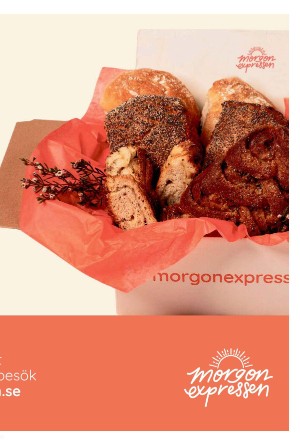 sydsvenskadagbladet_malmo_c-20251108_000_00_00_019.pdf