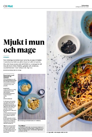 sydsvenskadagbladet_malmo_c-20251122_000_00_00_008.pdf