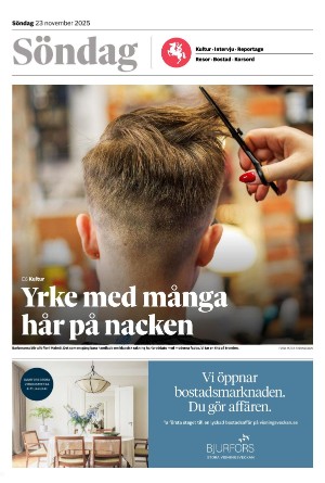 sydsvenskadagbladet_malmo_c-20251123_000_00_00.pdf