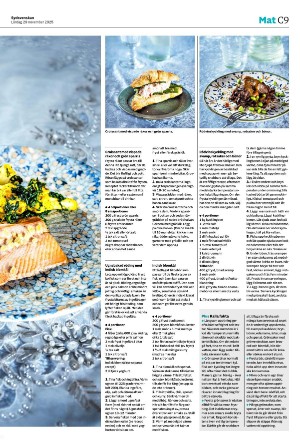 sydsvenskadagbladet_malmo_c-20251129_000_00_00_009.pdf