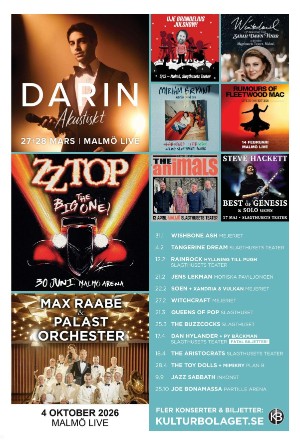 sydsvenskadagbladet_malmo_c-20251129_000_00_00_017.pdf