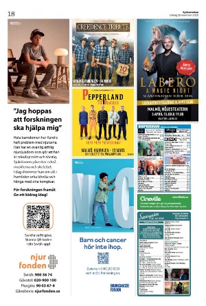 sydsvenskadagbladet_malmo_c-20251129_000_00_00_018.pdf