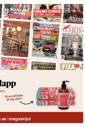 sydsvenskadagbladet_malmo_c-20251207_000_00_00_015.pdf