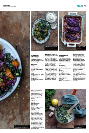 sydsvenskadagbladet_malmo_c-20251213_000_00_00_009.pdf