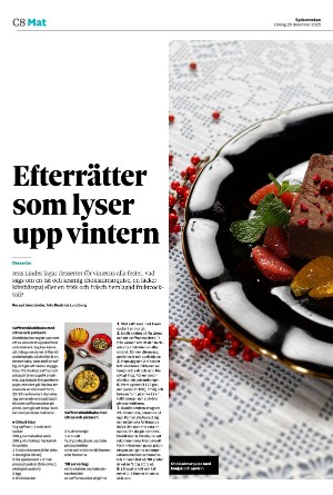 sydsvenskadagbladet_malmo_c-20251220_000_00_00_008.pdf