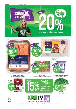 sydvesten-20260108_000_00_00_003.pdf