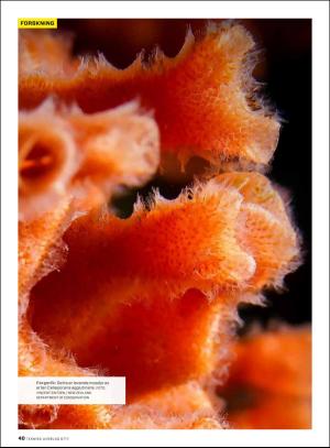 tekniskukeblad-20170822_000_00_00_040.pdf