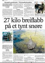 telemarksavisa-20060419_000_00_00_007.pdf