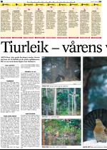 telemarksavisa-20060503_000_00_00_016.pdf