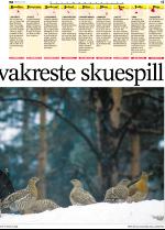 telemarksavisa-20060503_000_00_00_017.pdf