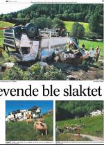 telemarksavisa-20080611_000_00_00_005.pdf