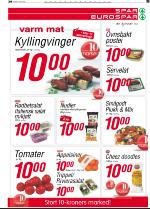 telemarksavisa-20090106_000_00_00_039.pdf