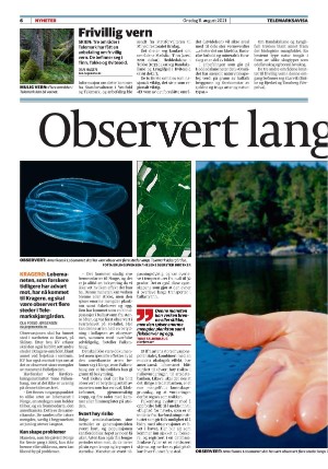 telemarksavisa-20210811_000_00_00_006.pdf