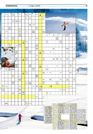 telemarksavisa-20230405_000_00_00_025.pdf