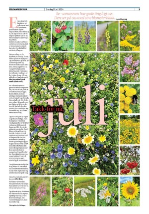 telemarksavisa-20240731_000_00_00_003.pdf