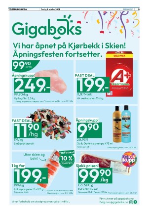 telemarksavisa-20241004_000_00_00_009.pdf