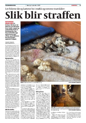 telemarksavisa-20250901_000_00_00_013.pdf
