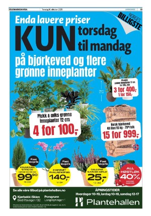 telemarksavisa-20251016_000_00_00_013.pdf