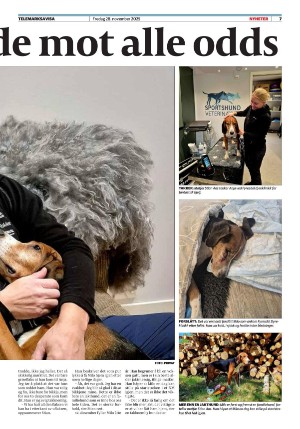 telemarksavisa-20251128_000_00_00_007.pdf
