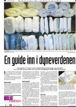 telemarksavisa_bolig-20051019_000_00_00_003.pdf