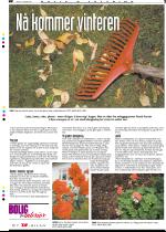 telemarksavisa_bolig-20051116_000_00_00_003.pdf