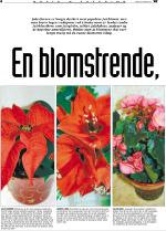 telemarksavisa_bolig-20051123_000_00_00_004.pdf