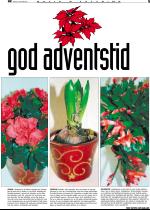 telemarksavisa_bolig-20051123_000_00_00_005.pdf