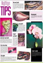 telemarksavisa_bolig-20051123_000_00_00_040.pdf