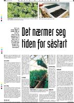 telemarksavisa_bolig-20060308_000_00_00_005.pdf