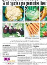 telemarksavisa_bolig-20060419_000_00_00_003.pdf