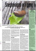 telemarksavisa_bolig-20060524_000_00_00_031.pdf