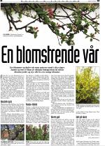 telemarksavisa_bolig-20060531_000_00_00_034.pdf