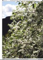 telemarksavisa_bolig-20060531_000_00_00_035.pdf