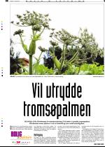 telemarksavisa_bolig-20060816_000_00_00_003.pdf