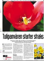 telemarksavisa_bolig-20060927_000_00_00_003.pdf