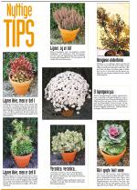 telemarksavisa_bolig-20060927_000_00_00_048.pdf