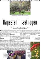 telemarksavisa_bolig-20061018_000_00_00_032.pdf