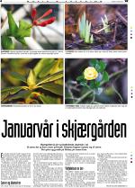 telemarksavisa_bolig-20070131_000_00_00_004.pdf