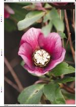 telemarksavisa_bolig-20070131_000_00_00_005.pdf