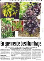 telemarksavisa_bolig-20070221_000_00_00_029.pdf