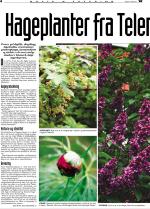 telemarksavisa_bolig-20070314_000_00_00_004.pdf