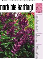 telemarksavisa_bolig-20070314_000_00_00_005.pdf