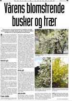 telemarksavisa_bolig-20070321_000_00_00_026.pdf