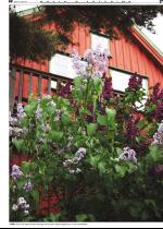 telemarksavisa_bolig-20070321_000_00_00_027.pdf